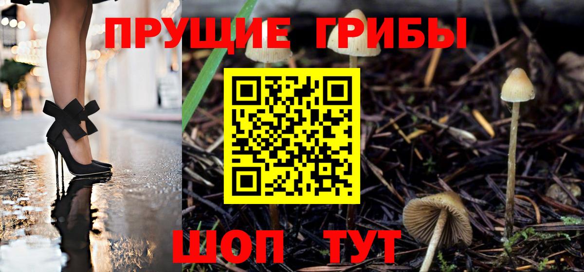 Москва  Псилоцибиновые грибы Psilocybe  Вход с VPN 